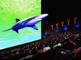 Màn Chiếu Bạc 3D (2,03 x1,44) Điều Khiển, 92 INCH - Tỷ Lệ 16:9