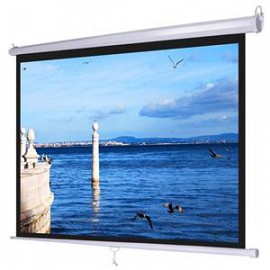 Màn Chiếu Treo Tường 120 INCH ( 96X72 ) DALITE - Mã PW96WS, TL 4:3